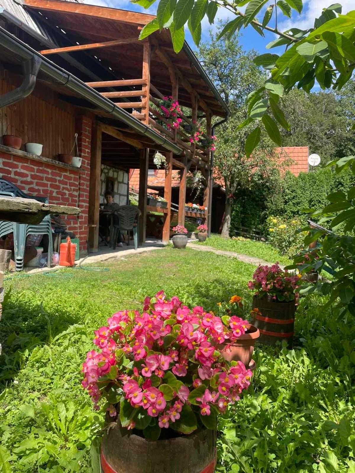 Dedina Kuca 1937 Mokra Gora Exterior foto